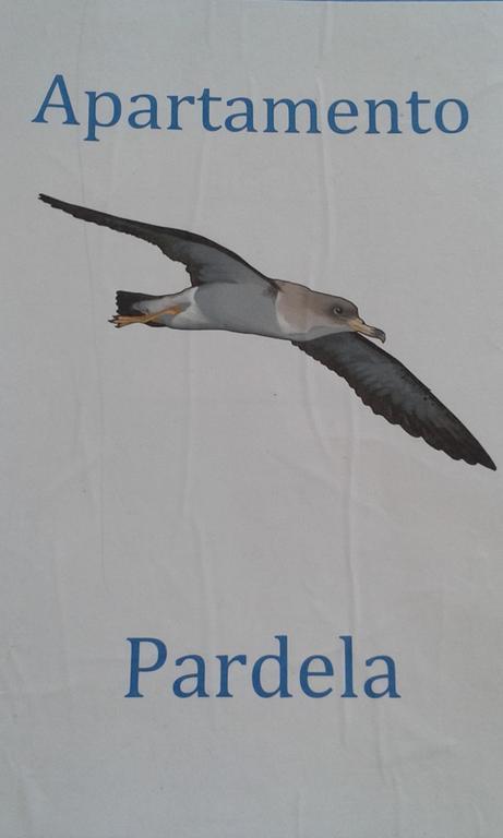 Apartamento Pardela Costa Adeje  Εξωτερικό φωτογραφία