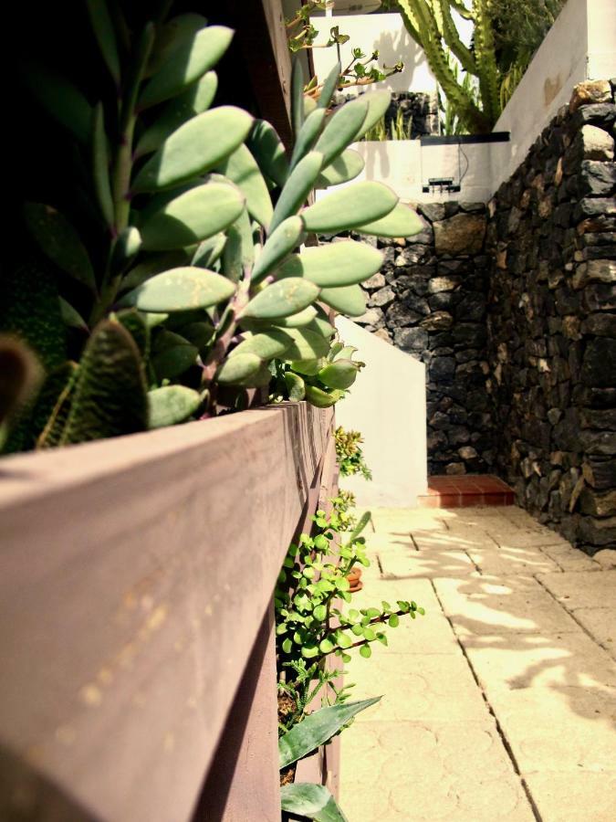 Apartamento Pardela Costa Adeje  Εξωτερικό φωτογραφία